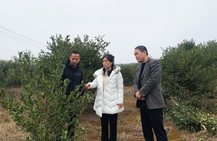 微信图片_20210127103542_副本