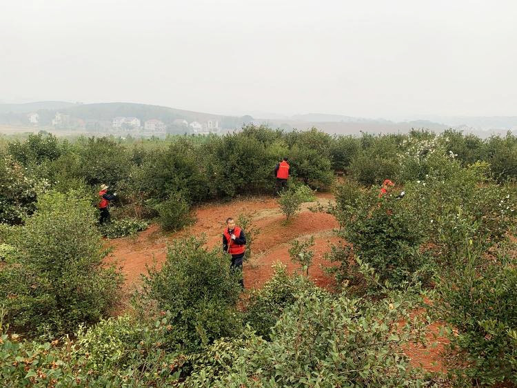 微信图片_20210127103547_副本