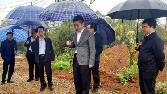 微信截图_20211021090051