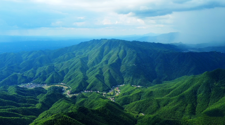 微信图片_20211118165029_副本