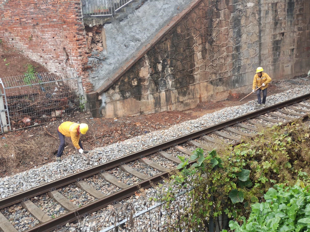 微信图片_20211231093815_副本