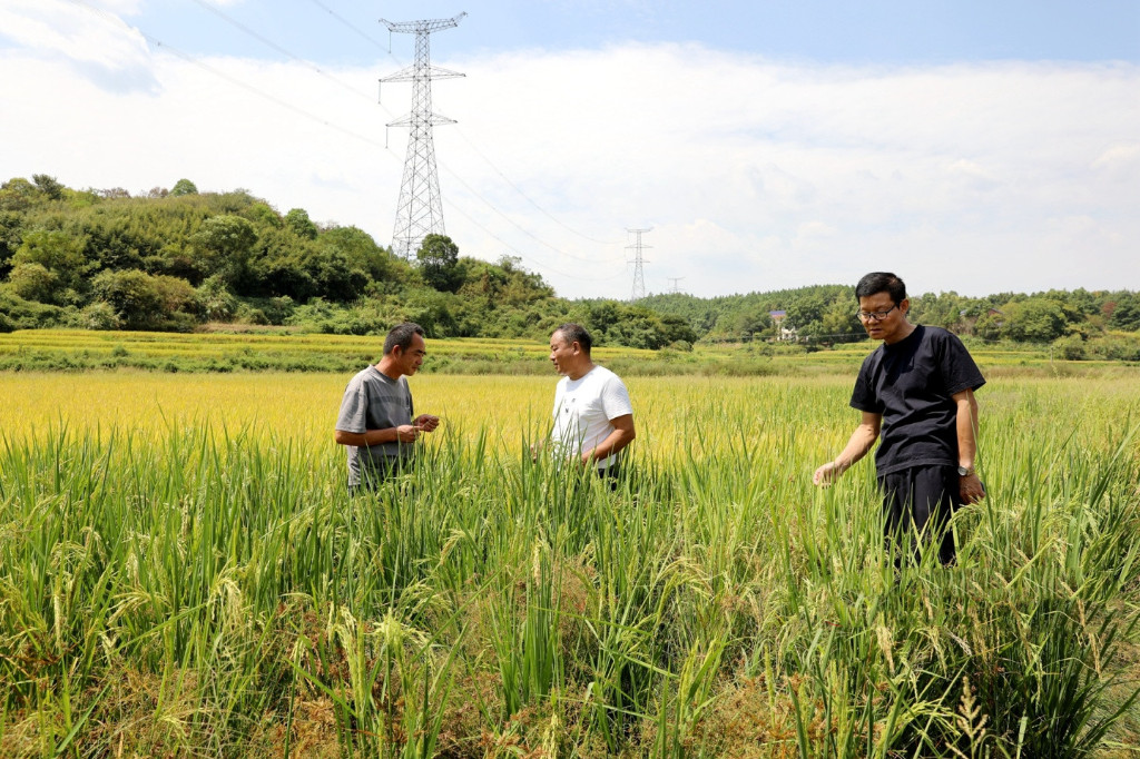 微信图片_20220920170627
