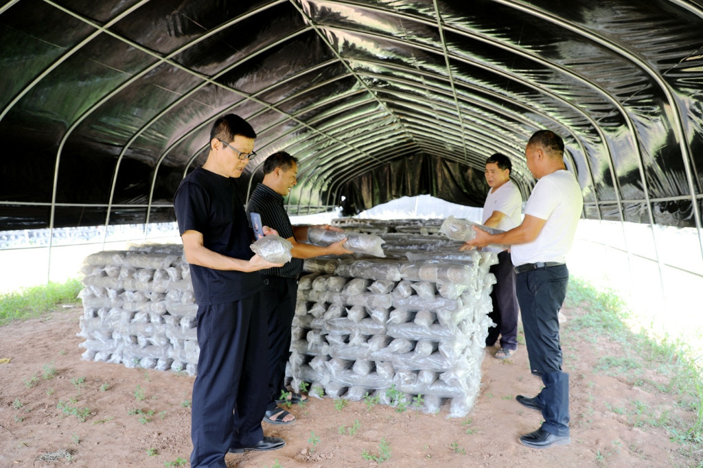 微信图片_20220920170635