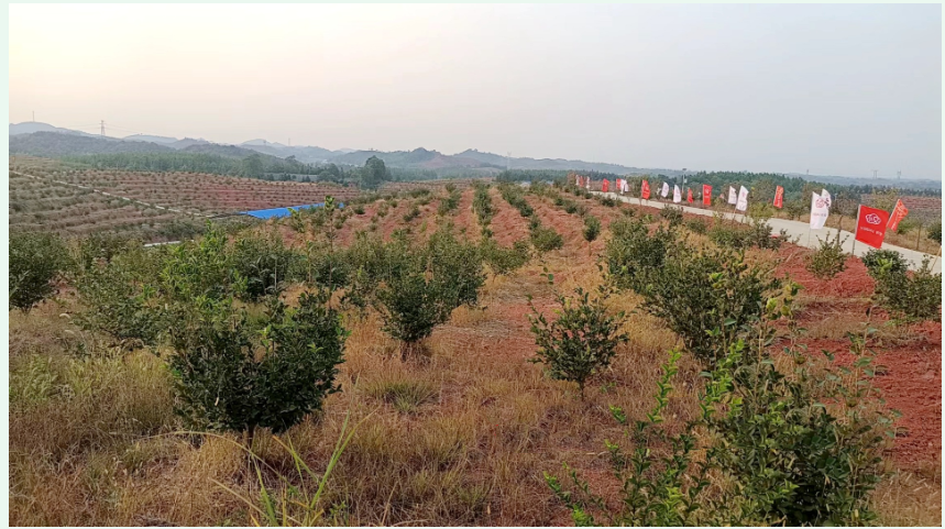 QQ图片20220927113151