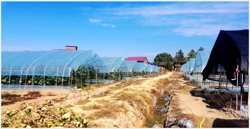 QQ图片20221024152708