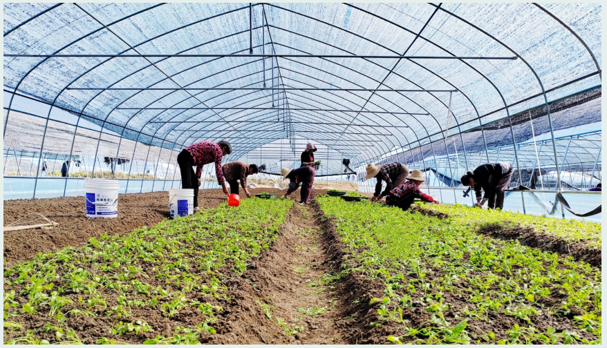 QQ图片20221024154408