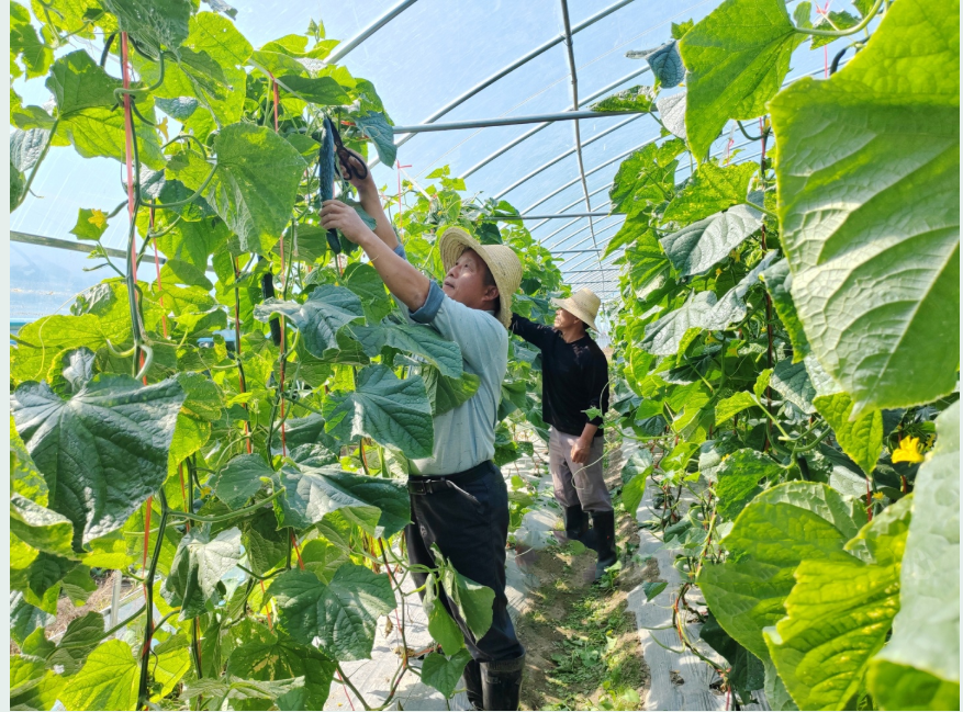 QQ图片20221024154411