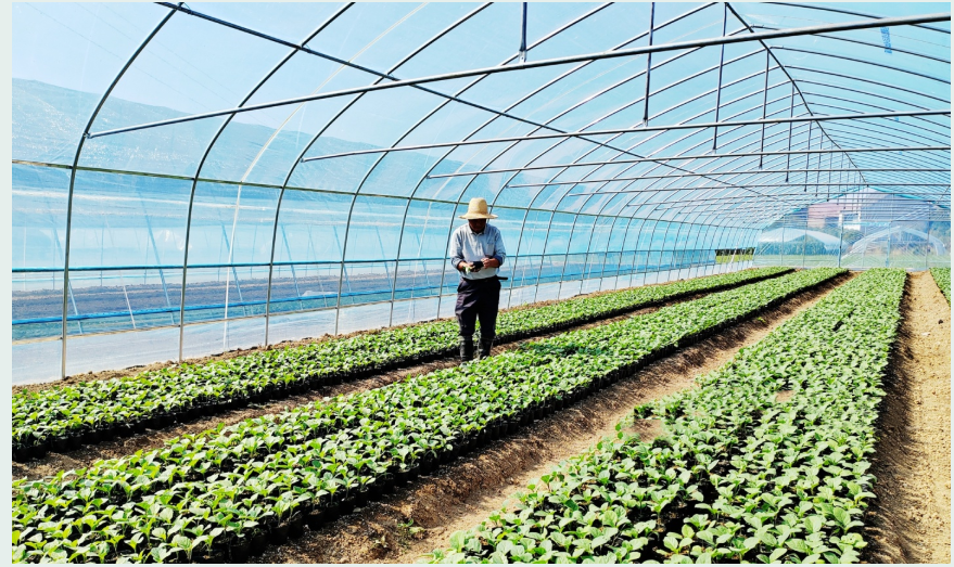 QQ图片20221024154415