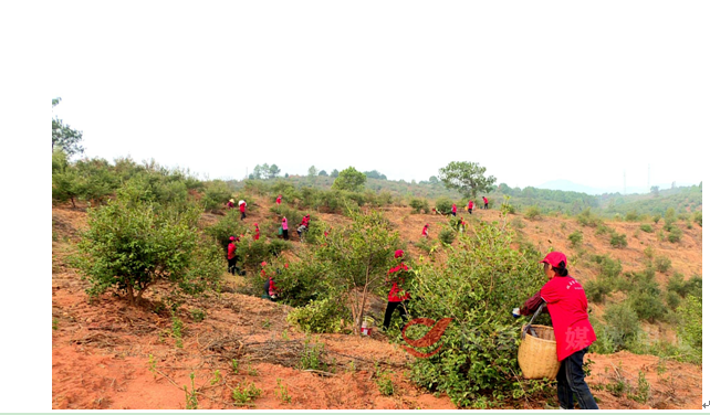 TSPIPBUOM9_5X)Z}8XHBQXG