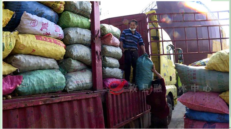 M$V4P(B}C08)LETX5T~IA(8