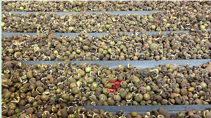 C)@D{WOM2ZX9@SM(`@D~KDO