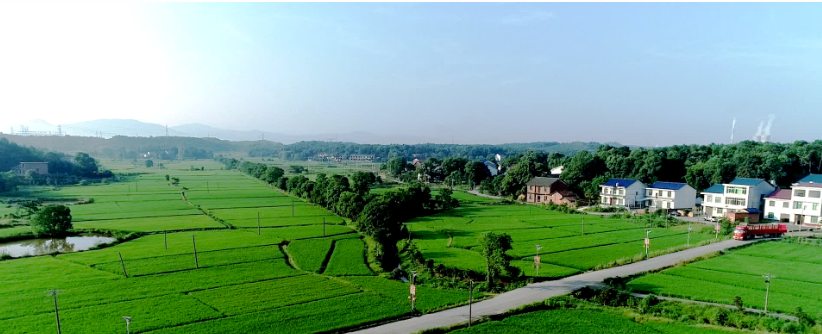 微信图片_20230131171047