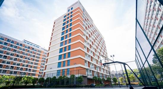 f8ca8044f2e045c39069de13b0bef56a