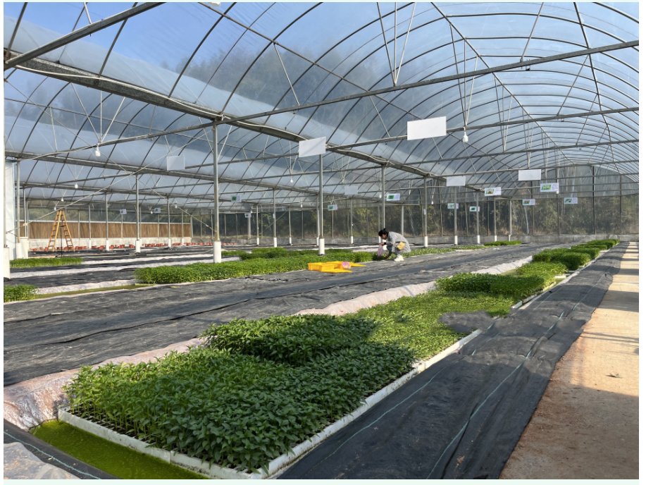 [QFA9M@$BQR}PBP20N%8A5L