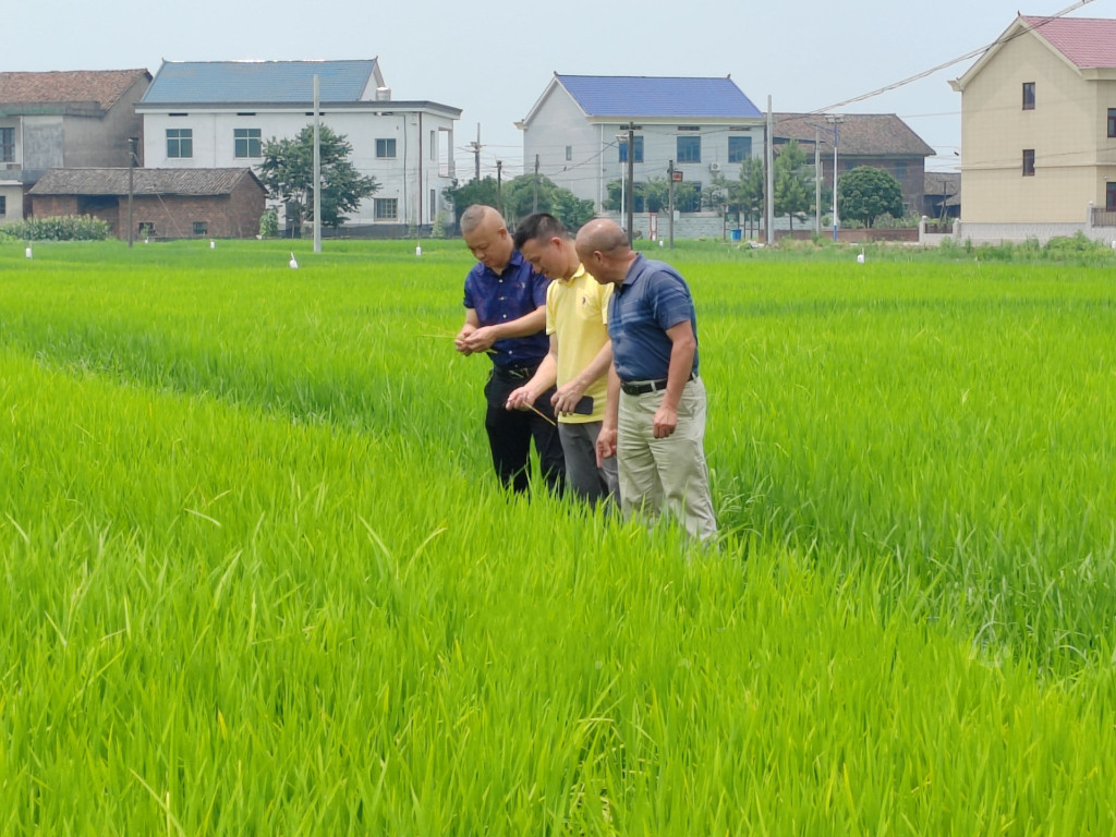 d260d1614b974d2987e5c9ab1ef1614f