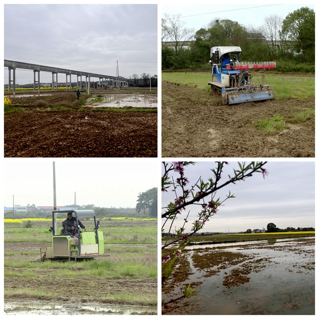 微信图片_20240322083940