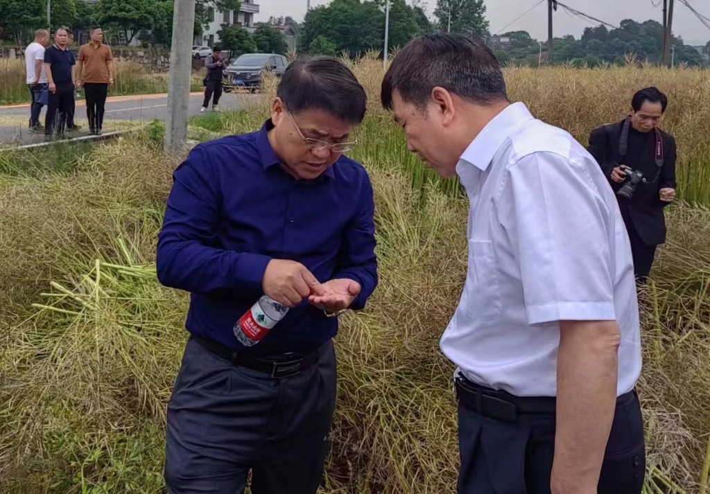 397db89d3c198fb8253c1960c2b029e