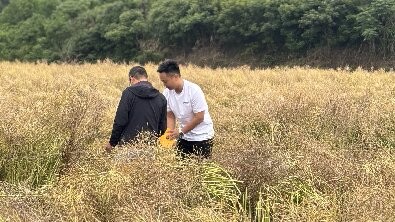 16776b5a488b218080d85cfc035c4c4