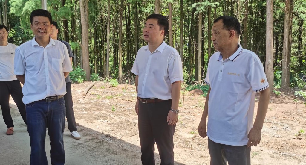 微信图片_20240717101830