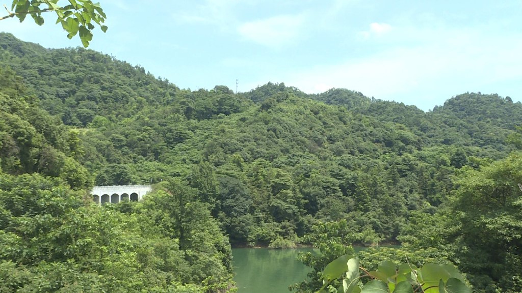 微信图片_20240725100755