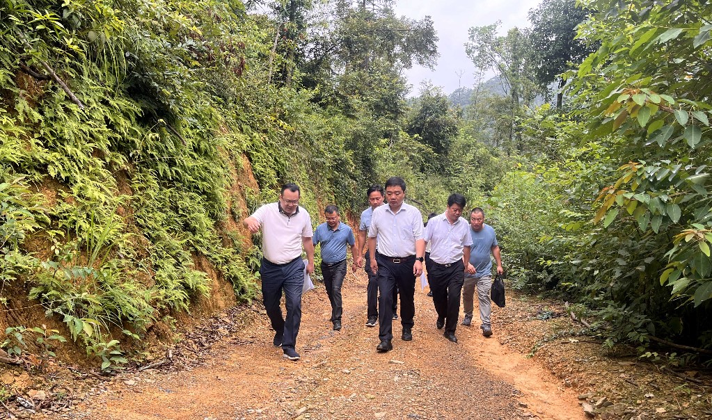 微信图片_20240821085446