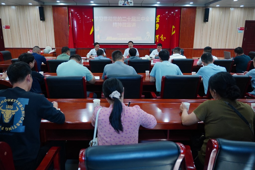 微信图片_20241014171311