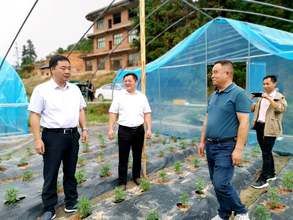 微信图片_20241021090527