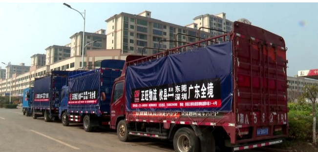 微信图片_20241210092520