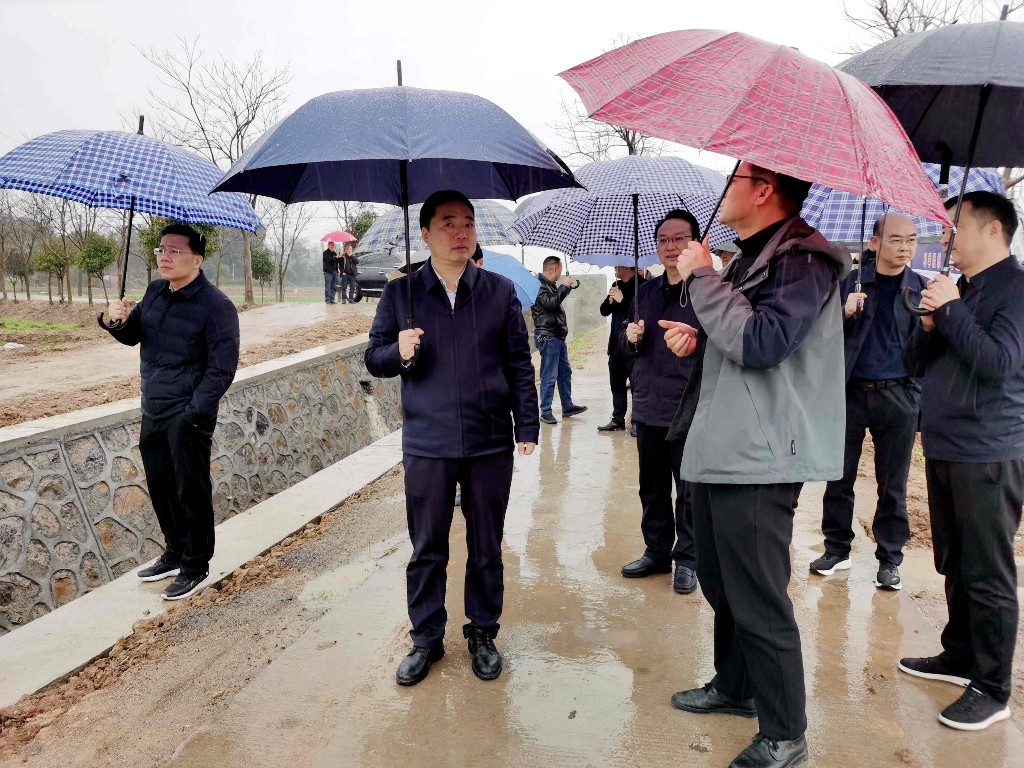 微信图片_20250307142935