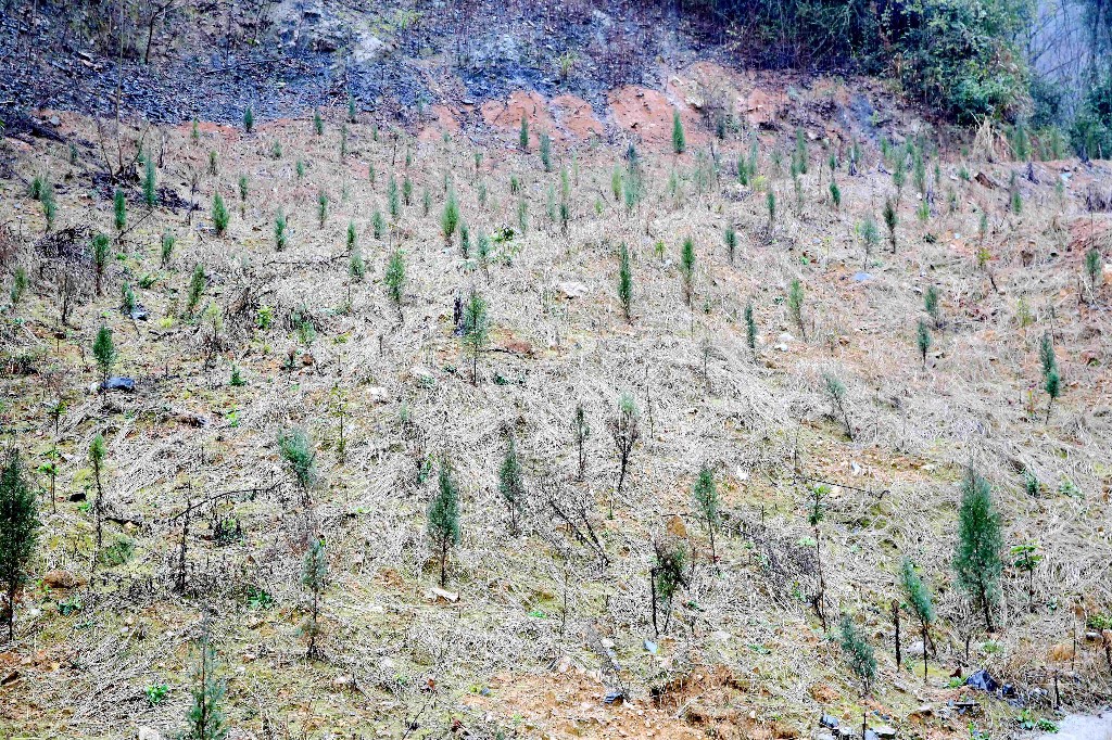 微信图片_20250307143020