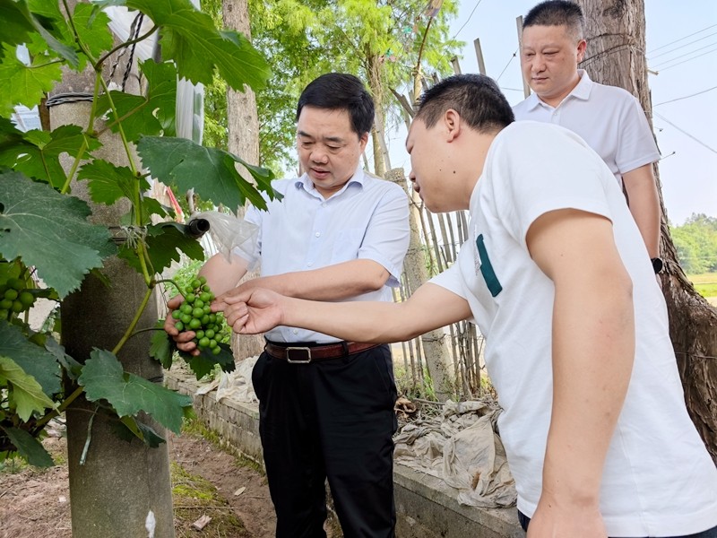 微信图片_20250527111812