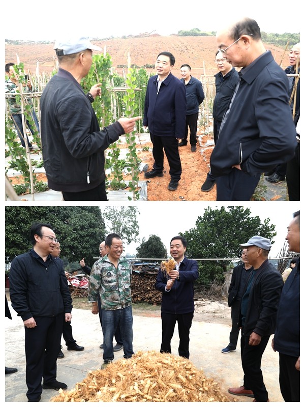 微信图片_20251028205747_3475_68_副本_副本