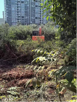 8ba8cff0-0c6e-4529-9bf4-3de968ffad17